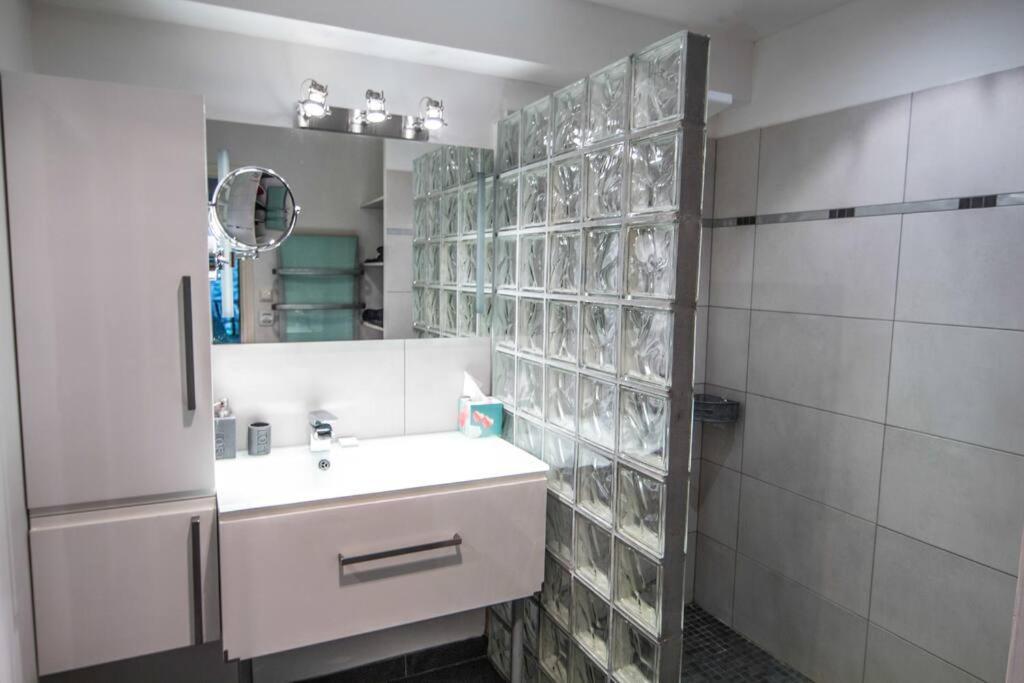 Appartement Avec Jardin Interieur 4 Pers Centre Ville Nemours Exterior foto